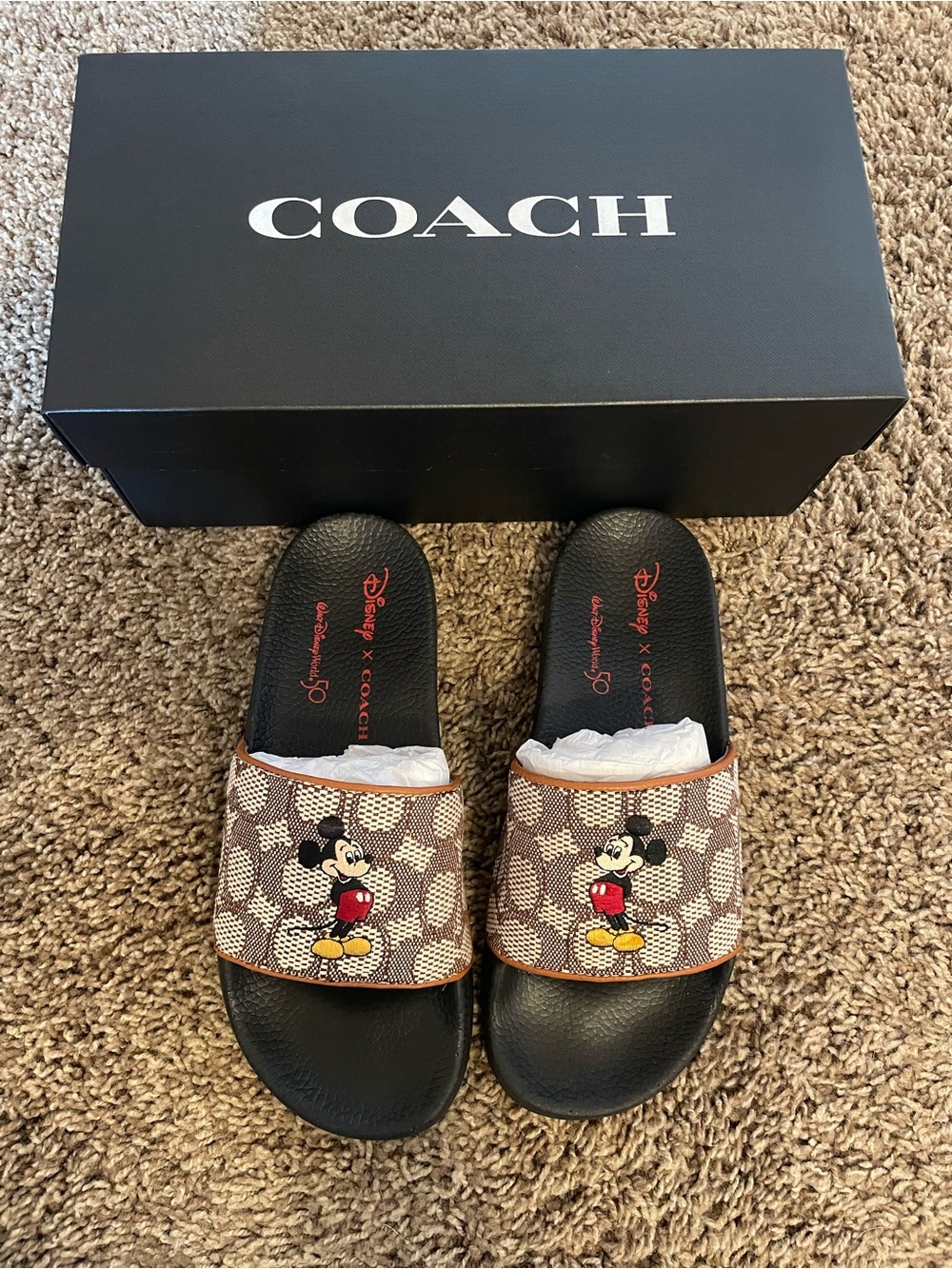 Coach x Disney Slides